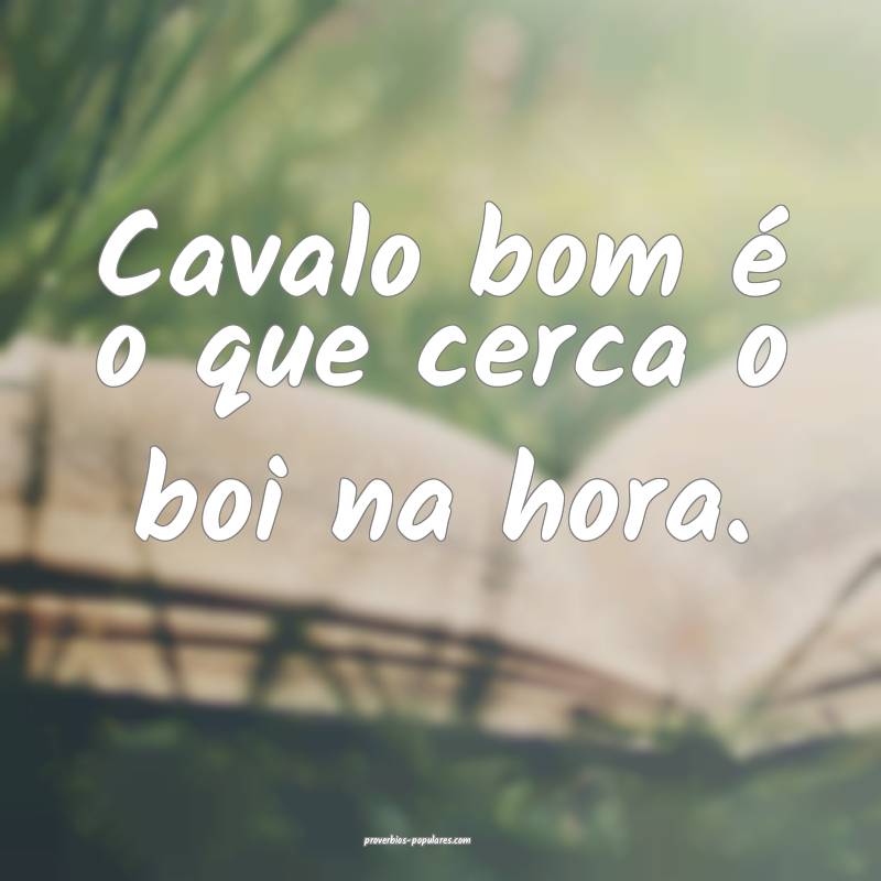 Cavalo bom é o que cerca o boi na hora.
 ...
