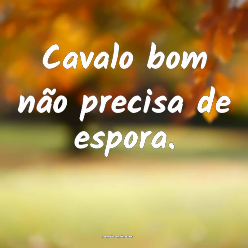 Cavalo bom não precisa de espora.
...