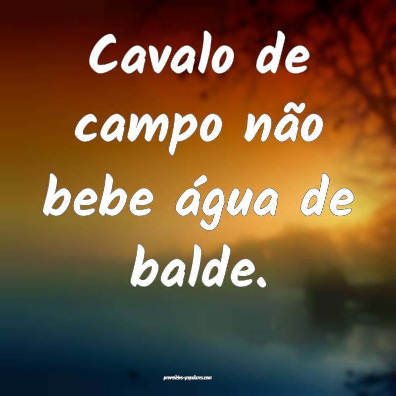 Cavalo de campo não bebe água de balde.
...