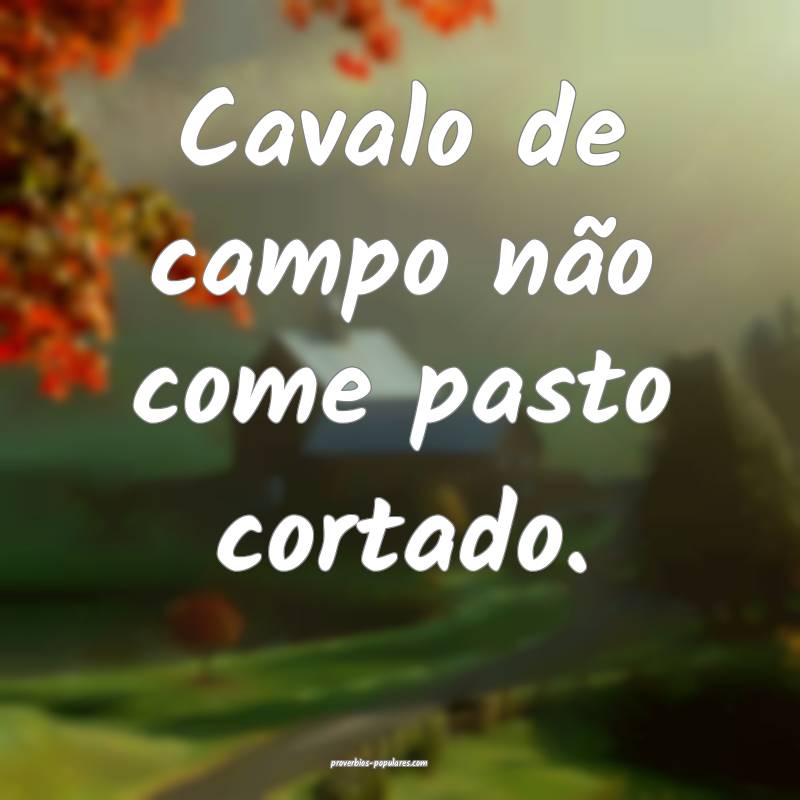 Cavalo de campo não come pasto cortado.
...