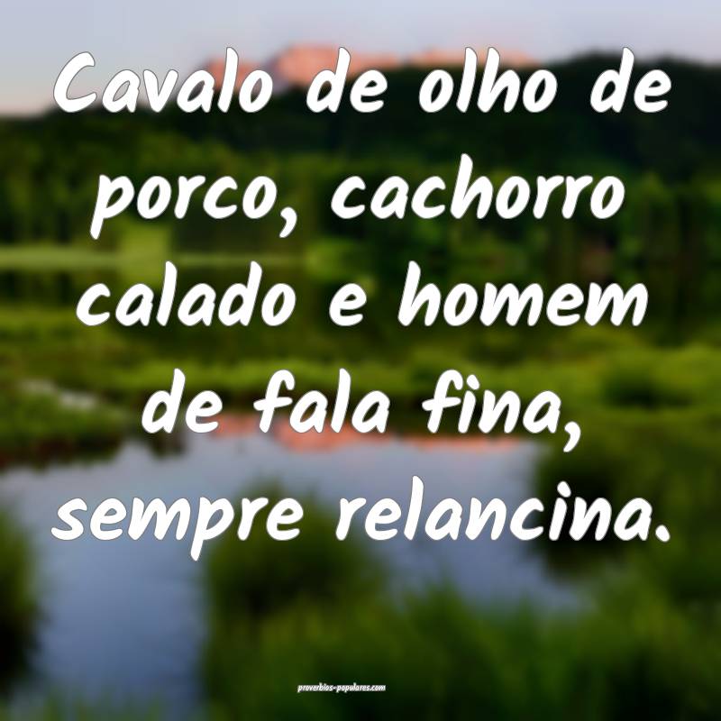 Cavalo de olho de porco, cachorro calado e homem de fala fina, sempre ...