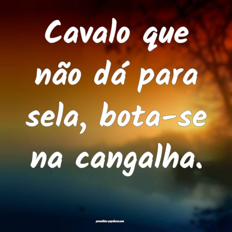 Cavalo que não dá para sela, bota-se na cangalha.
...