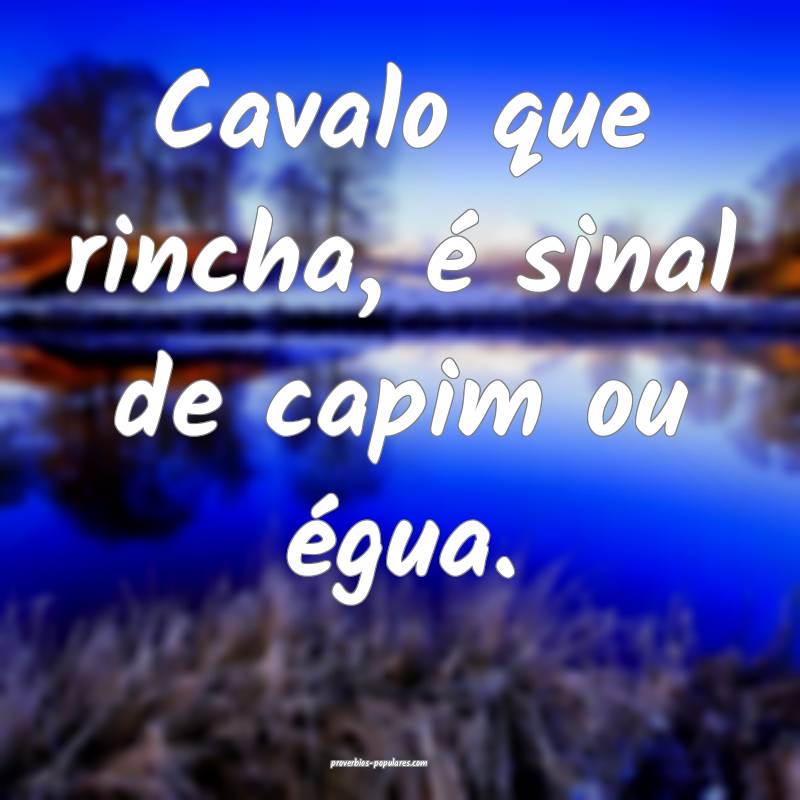 Cavalo que rincha, é sinal de capim ou égua.
...