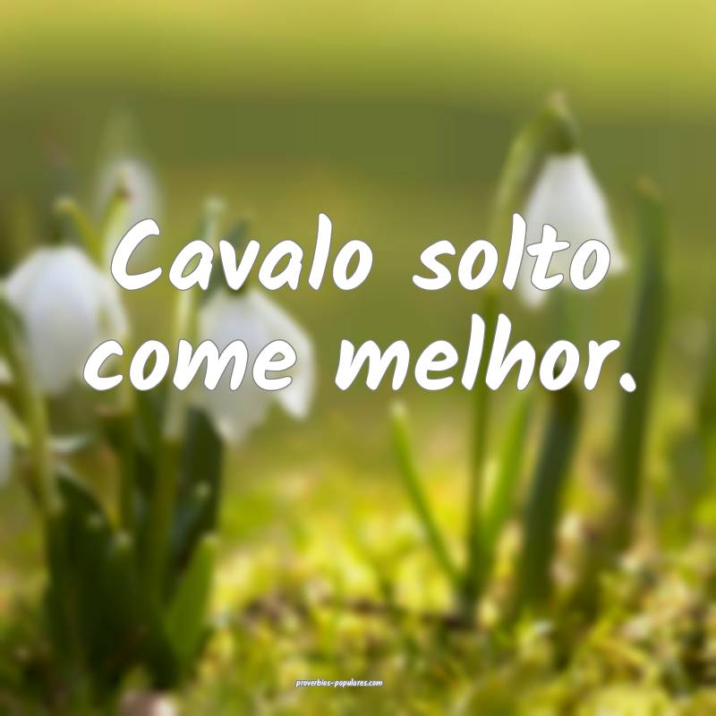 Cavalo solto come melhor.
...