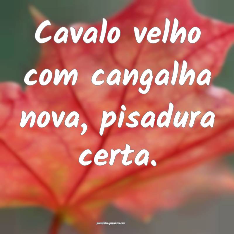 Cavalo velho com cangalha nova, pisadura certa.
...