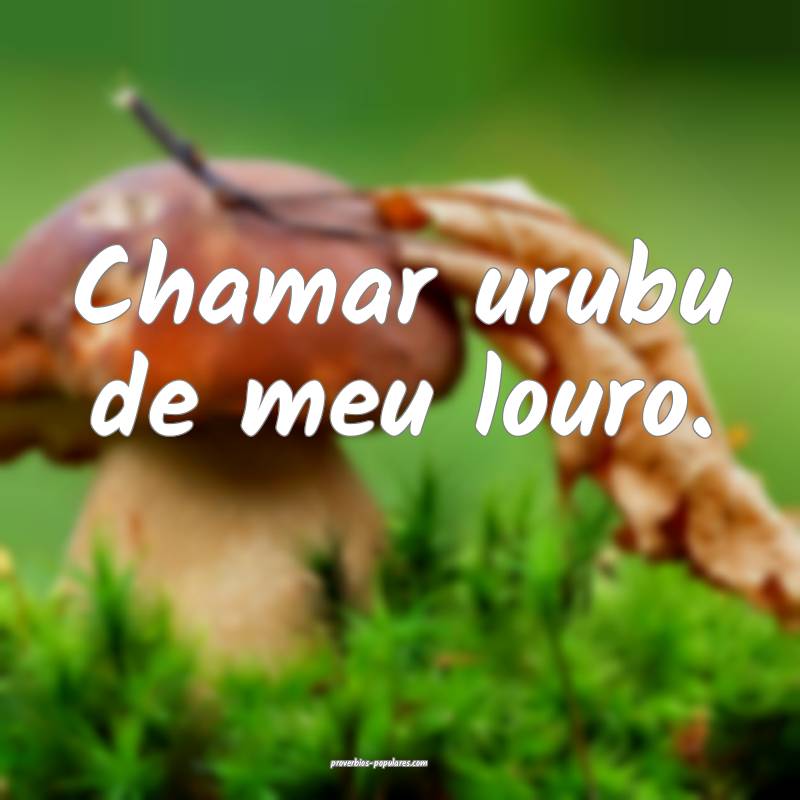 Chamar urubu de meu louro.
...