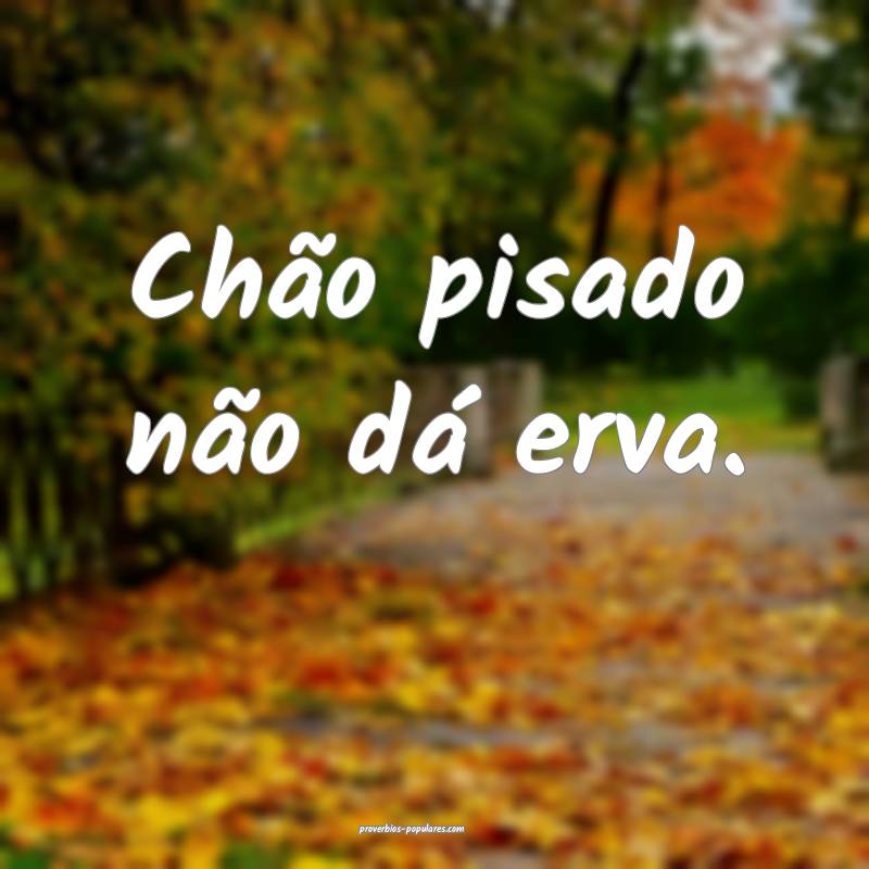 Chão pisado não dá erva.
 ...