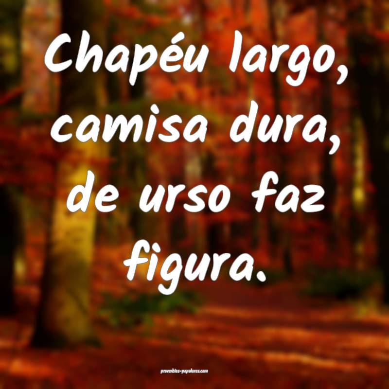 Chapéu largo, camisa dura, de urso faz figura.
...