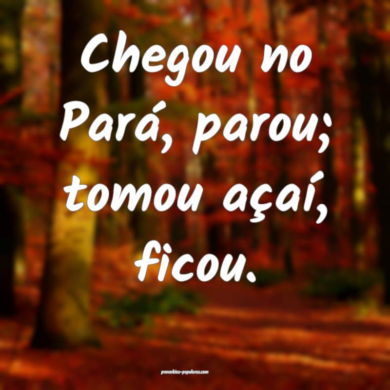 Chegou no Pará, parou; tomou açaí, ficou.
 ...