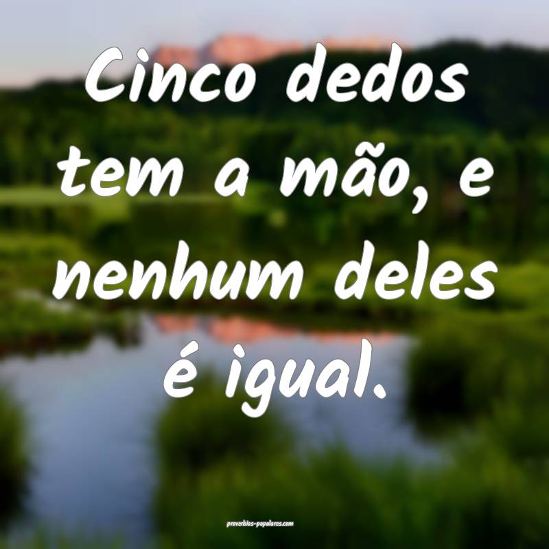 Cinco dedos tem a mão, e nenhum deles é igual.
...