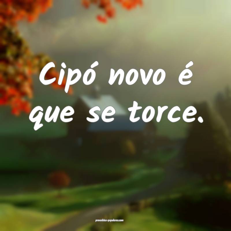 Cipó novo é que se torce.
 ...