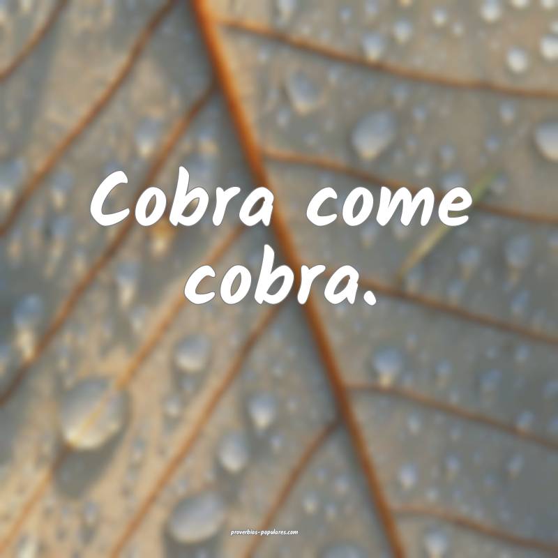 Cobra come cobra.
...