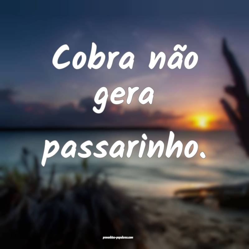 Cobra não gera passarinho.
...