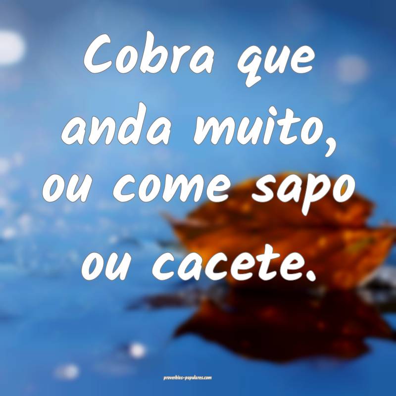 Cobra que anda muito, ou come sapo ou cacete.
 ...