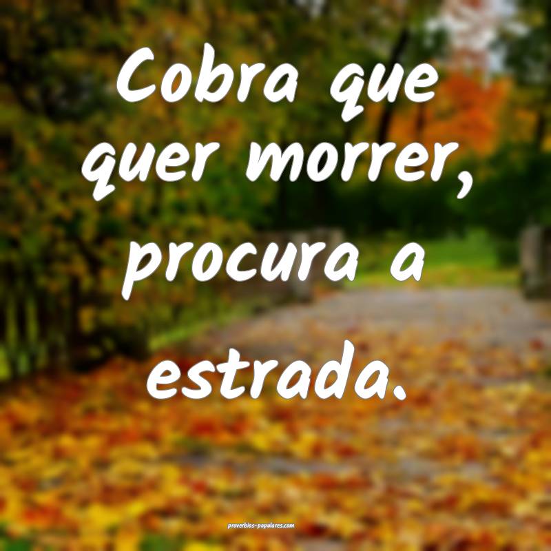 Cobra que quer morrer, procura a estrada.
 ...