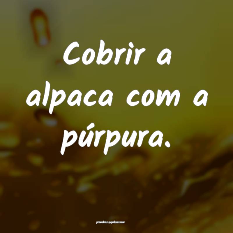 Cobrir a alpaca com a púrpura.
...