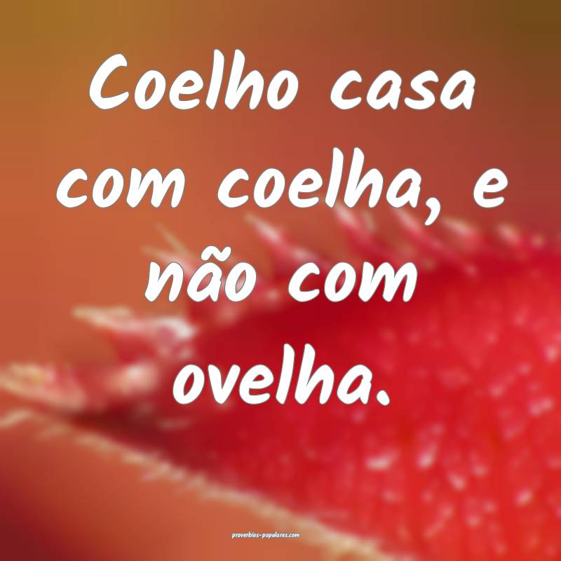 Coelho casa com coelha, e não com ovelha.
 ...