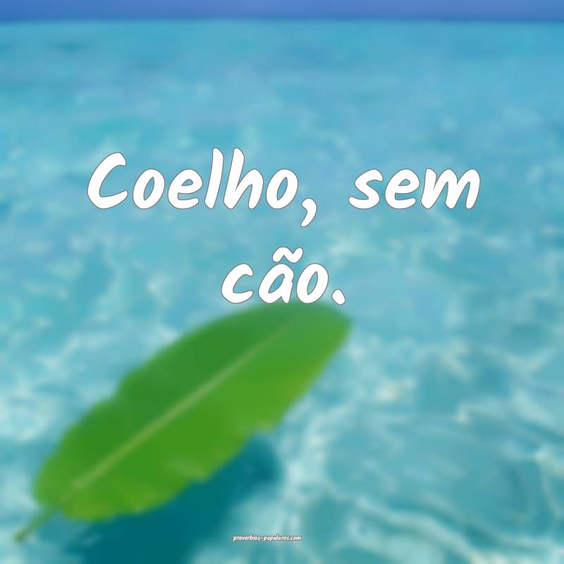 Coelho, sem cão.
...