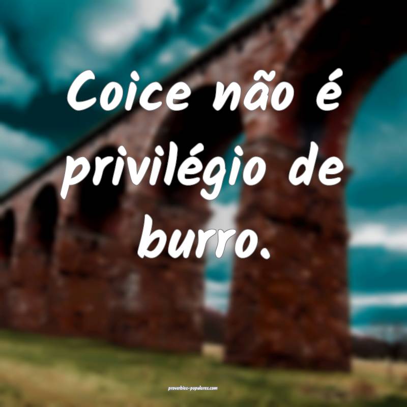 Coice não é privilégio de burro.
 ...