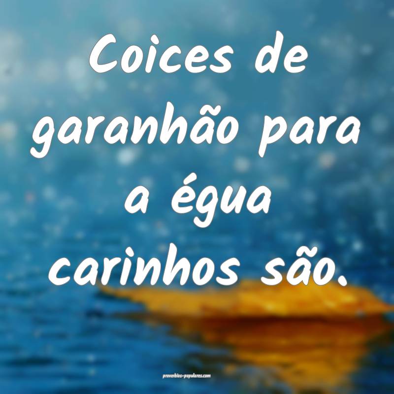 Coices de garanhão para a égua carinhos são.
 ...