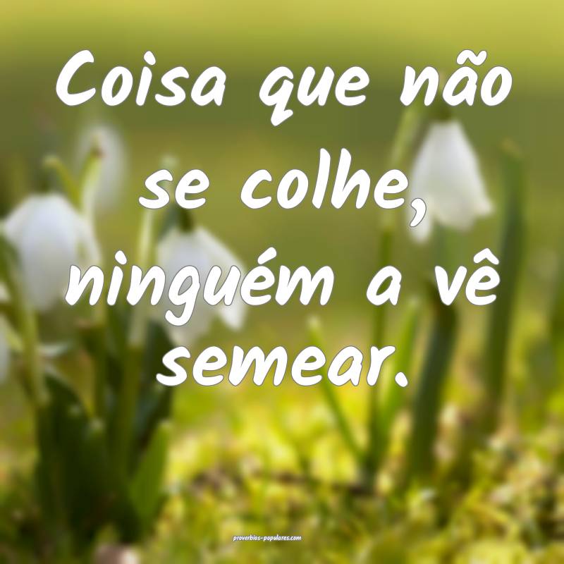 Coisa que não se colhe, ninguém a vê semear.
...