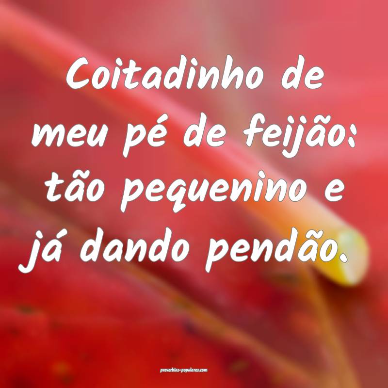 Coitadinho de meu pé de feijão: tão pequenino e já dando pendão.
...