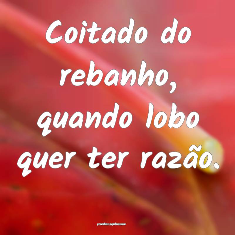 Coitado do rebanho, quando lobo quer ter razão.
...