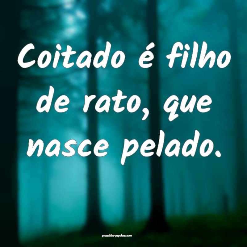 Coitado é filho de rato, que nasce pelado.
...