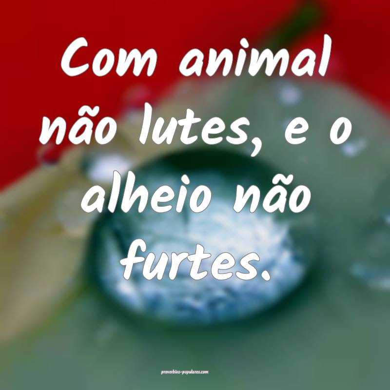Com animal não lutes, e o alheio não furtes.
...