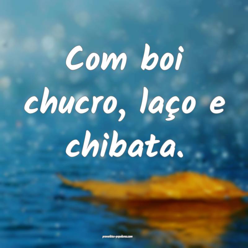 Com boi chucro, laço e chibata.
...