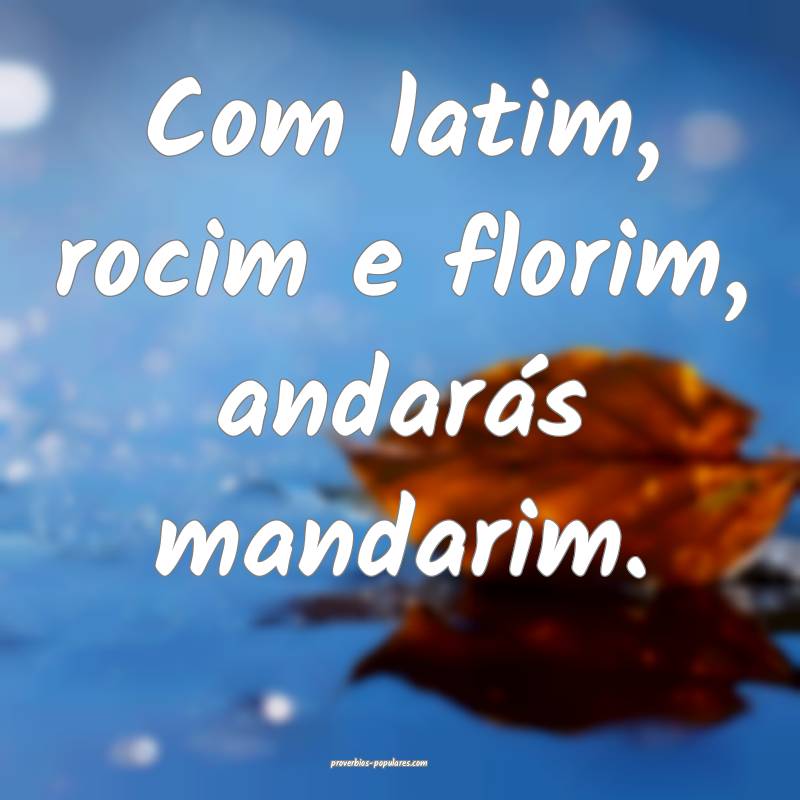Com latim, rocim e florim, andarás mandarim.
...