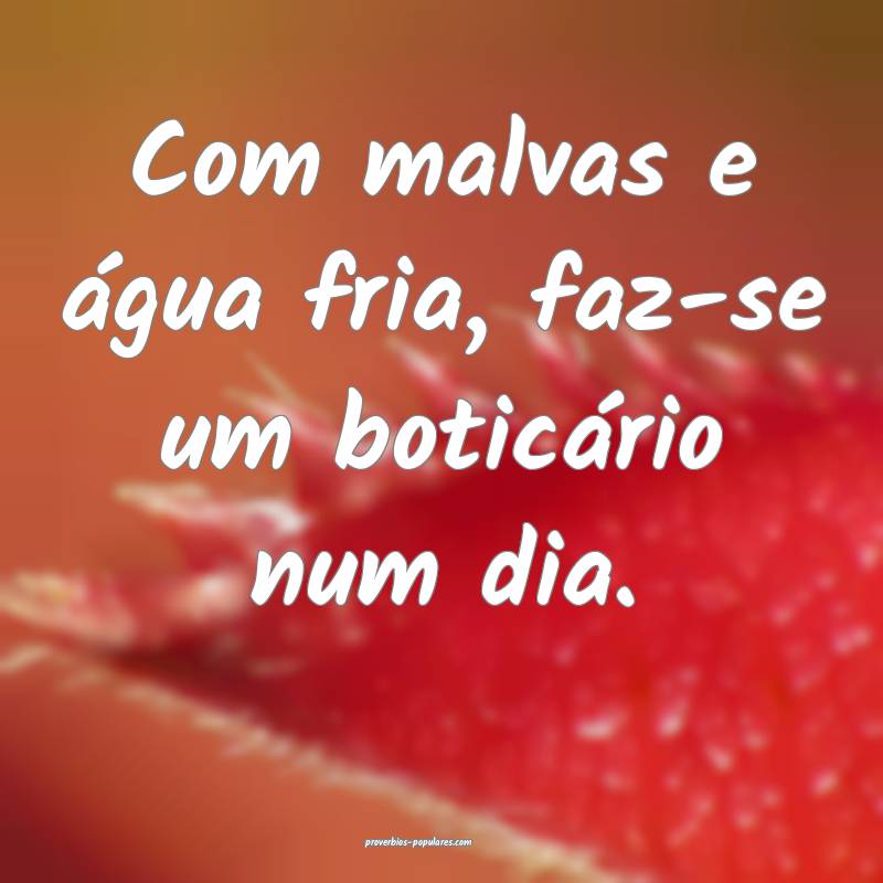 Com malvas e água fria, faz-se um boticário num  ...