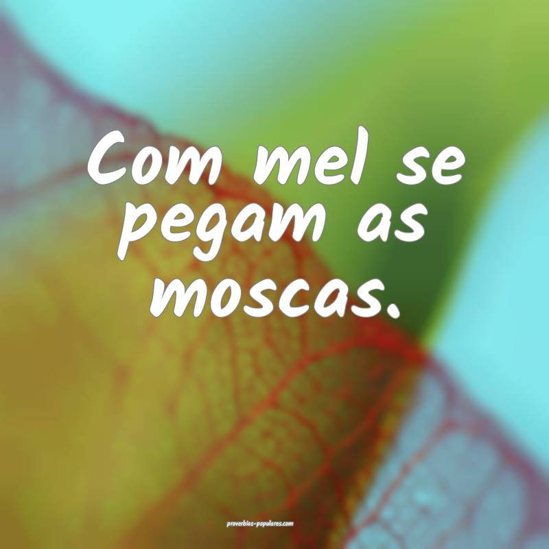 Com mel se pegam as moscas.
...