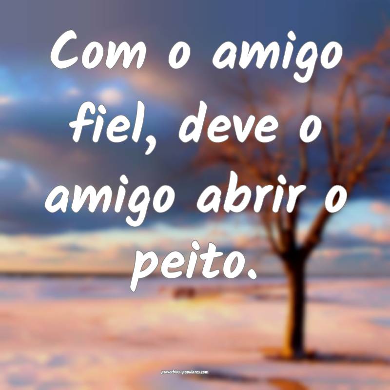 Com o amigo fiel, deve o amigo abrir o peito.
...