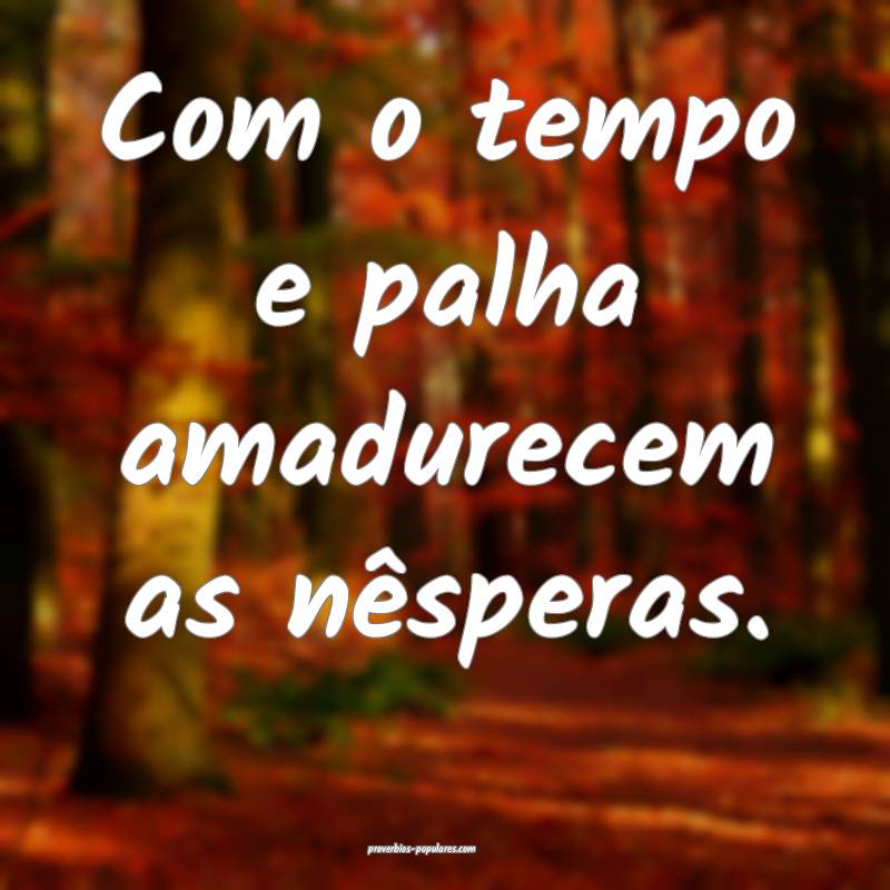 Com o tempo e palha amadurecem as nêsperas.
...