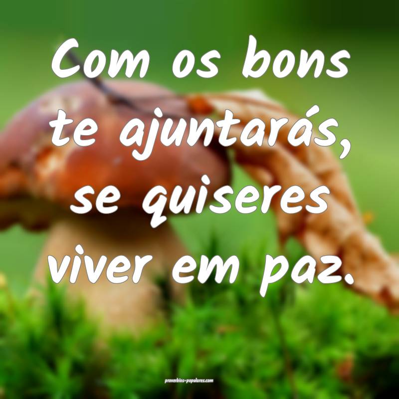 Com os bons te ajuntarás, se quiseres viver em paz.
...