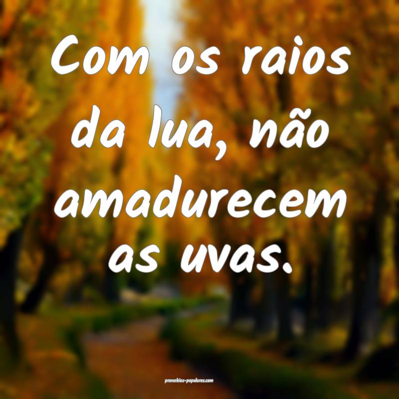 Com os raios da lua, não amadurecem as uvas.
...