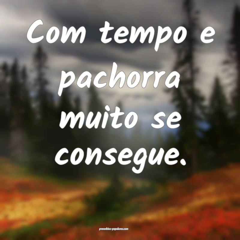 Com tempo e pachorra muito se consegue.
...