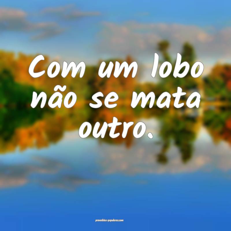 Com um lobo não se mata outro.
...
