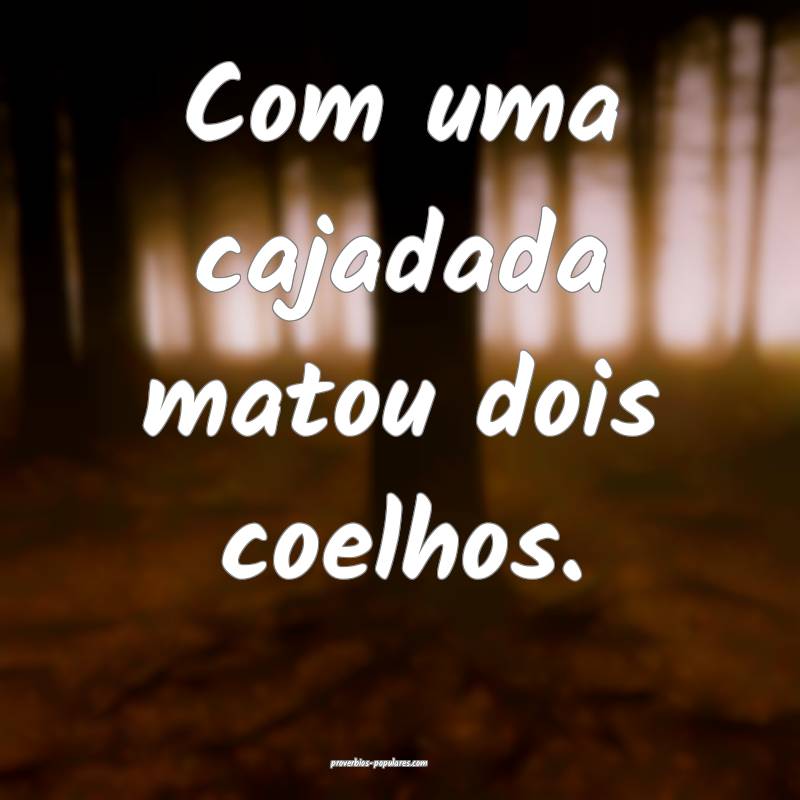 Com uma cajadada matou dois coelhos.
...