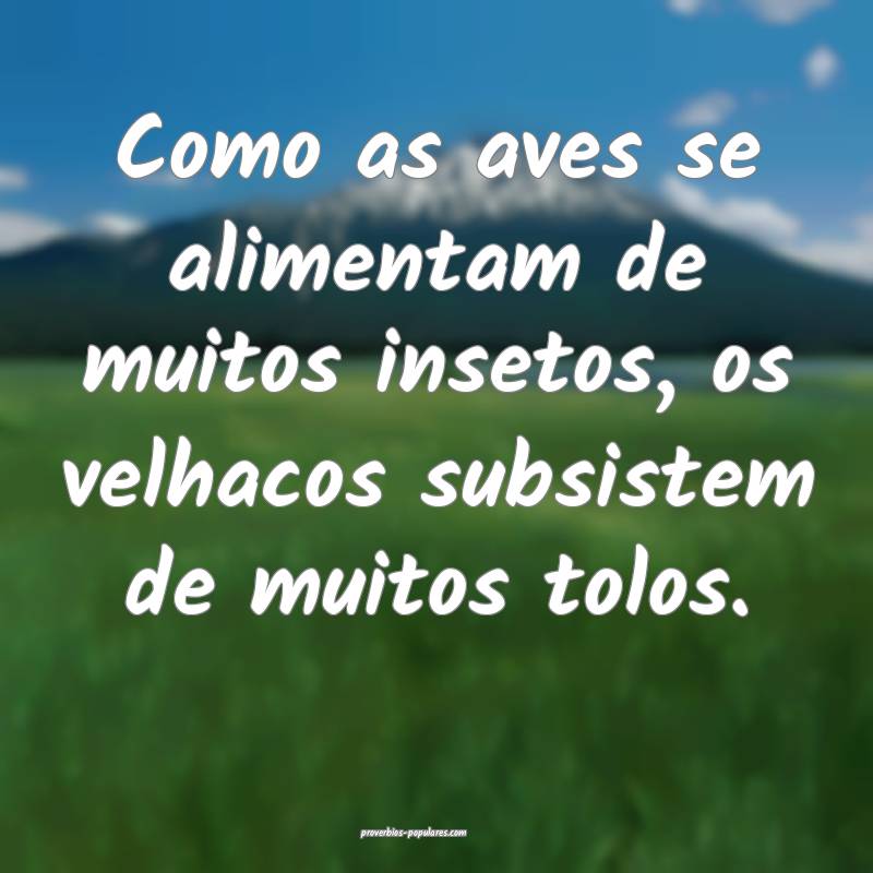 Como as aves se alimentam de muitos insetos, os velhacos subsistem de ...