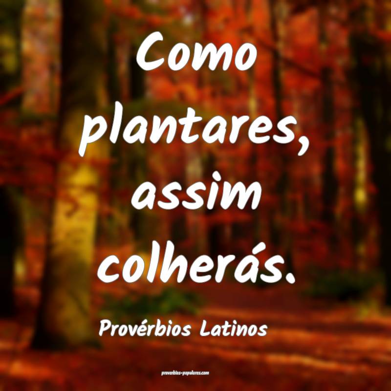 Como plantares, assim colherás.
...