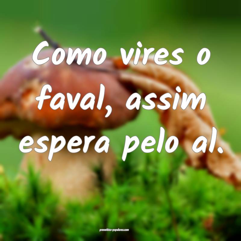 Como vires o faval, assim espera pelo al.
...