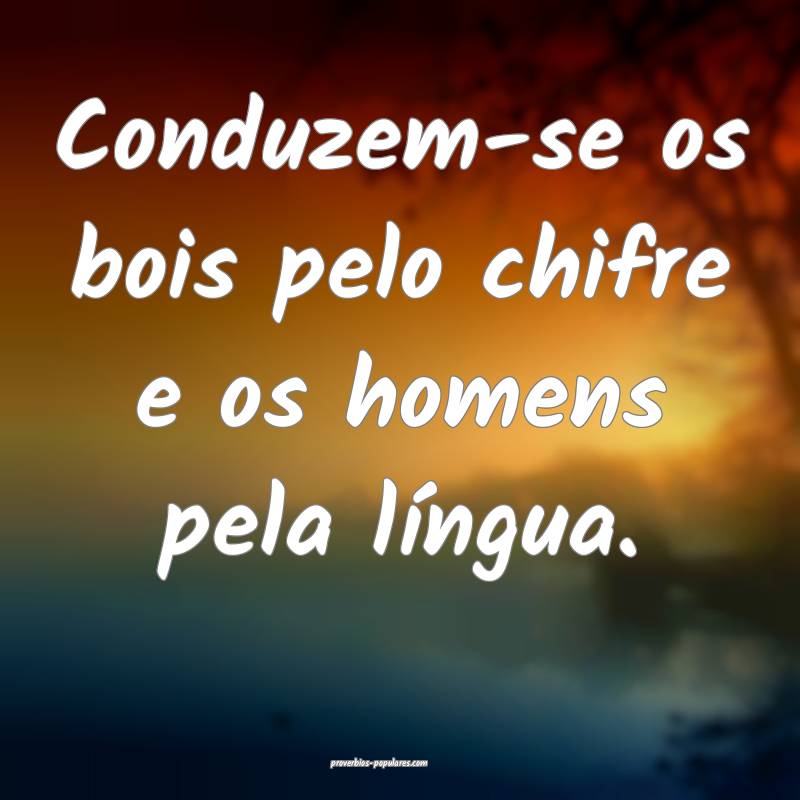 Conduzem-se os bois pelo chifre e os homens pela língua.
...