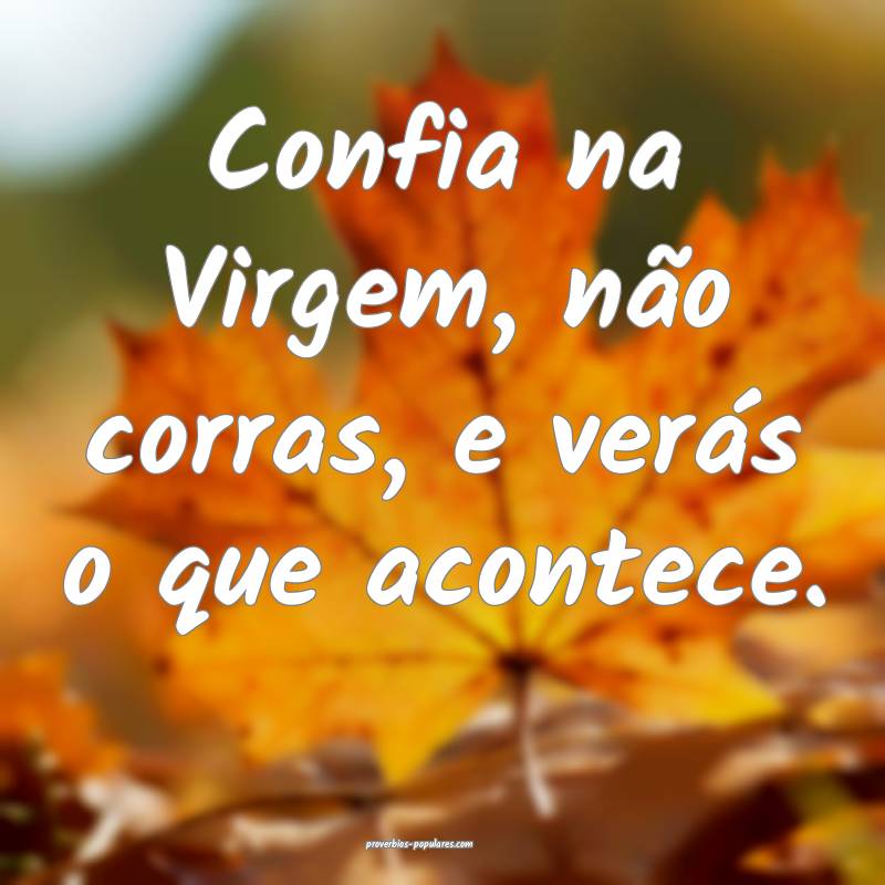 Confia na Virgem, não corras, e verás o que acontece.
...