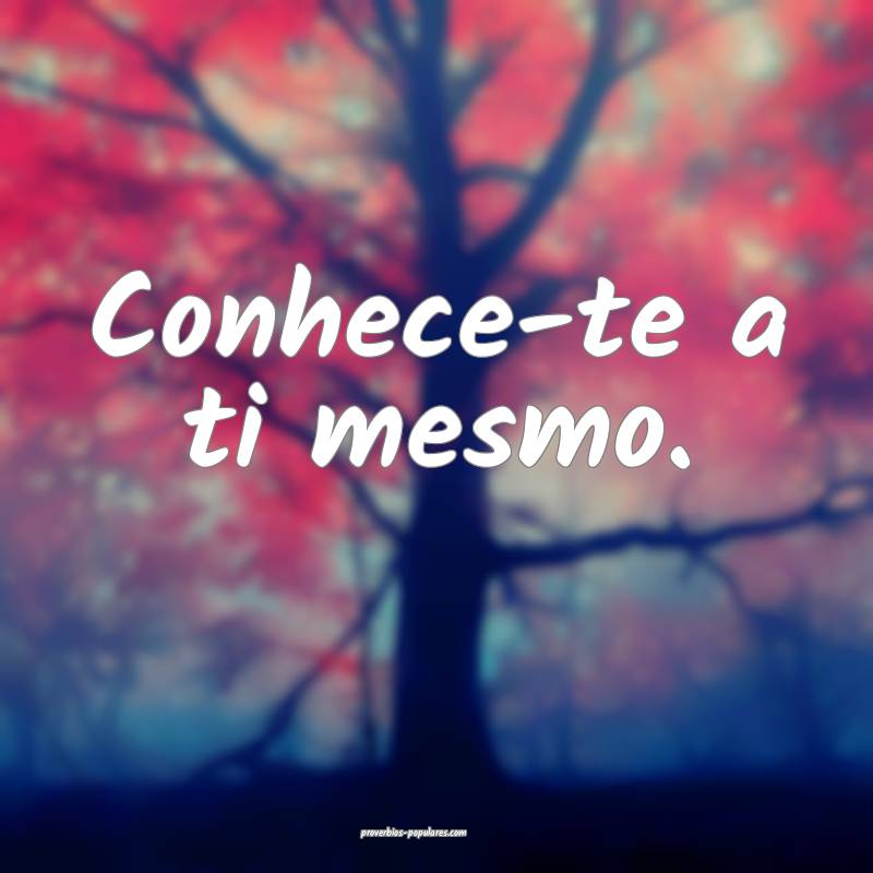Conhece-te a ti mesmo.
...