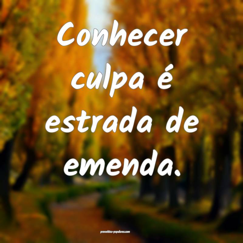 Conhecer culpa é estrada de emenda.
...