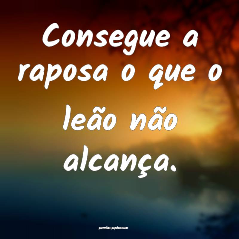 Consegue a raposa o que o leão não alcança.
...