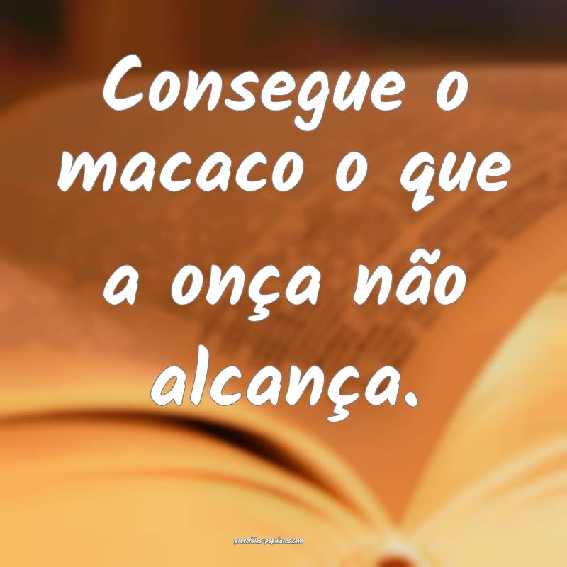 Consegue o macaco o que a onça não alcança.
...