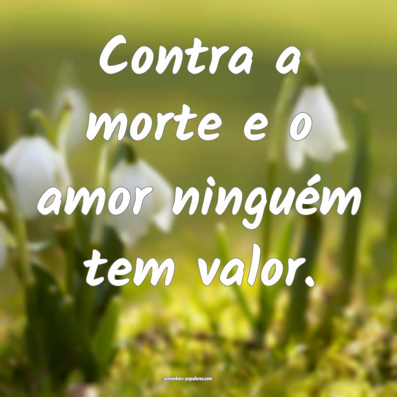 Contra a morte e o amor ninguém tem valor.
...